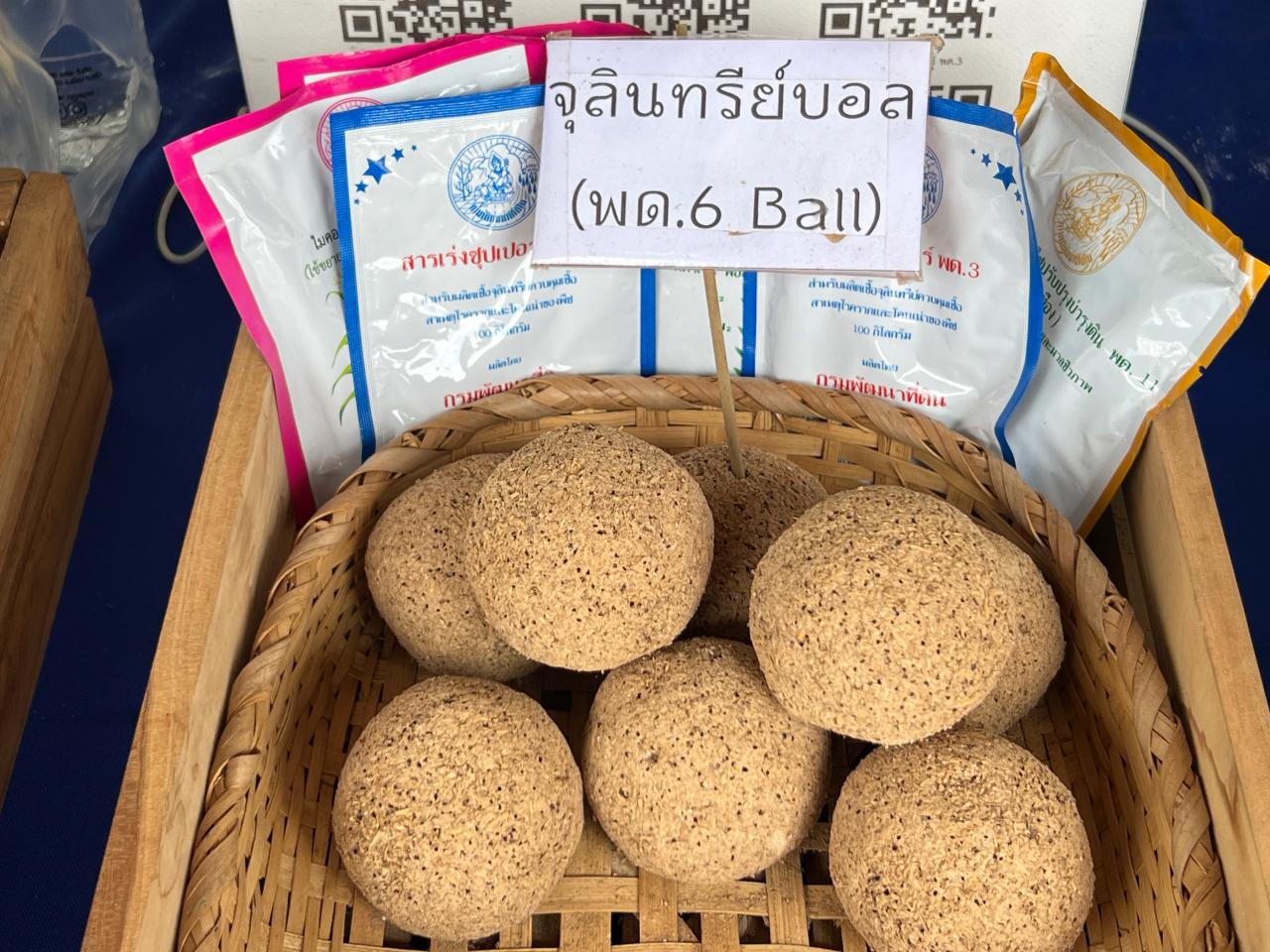 ภาพประกอบที่ 6