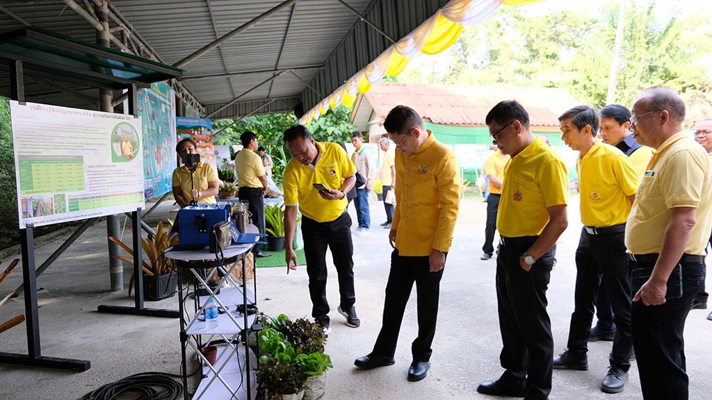 ภาพประกอบที่ 11