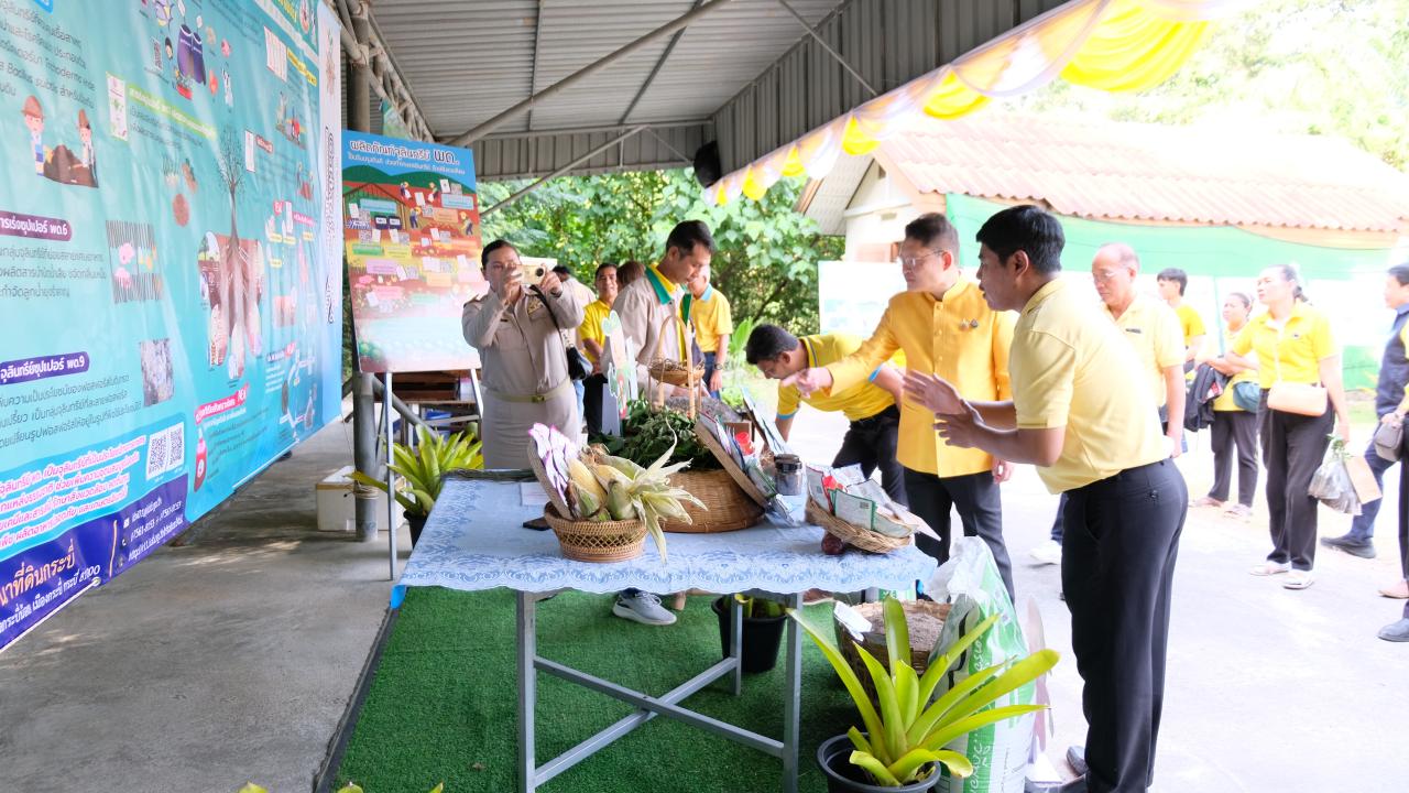 ภาพประกอบที่ 12