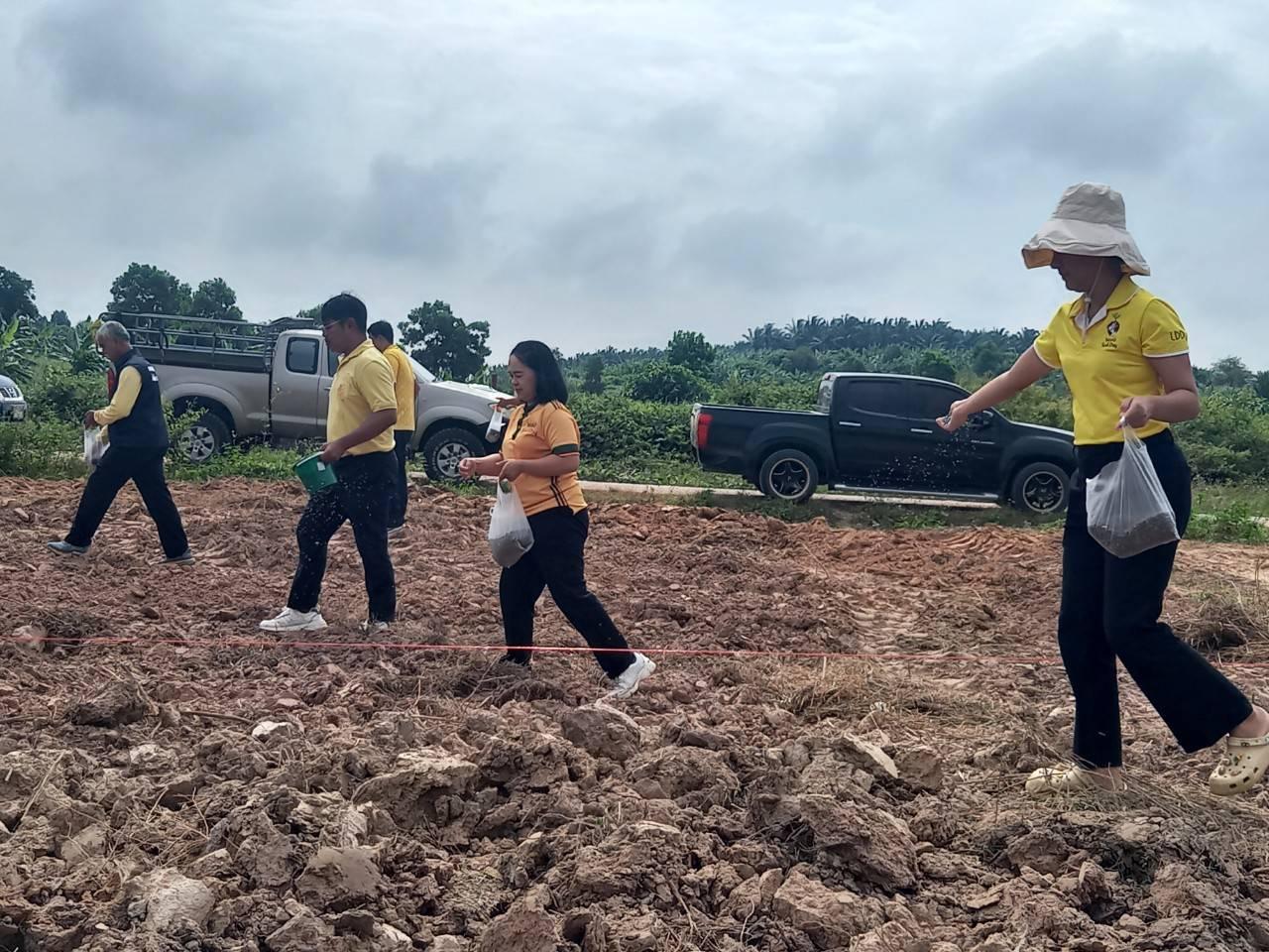 ภาพประกอบที่ 2