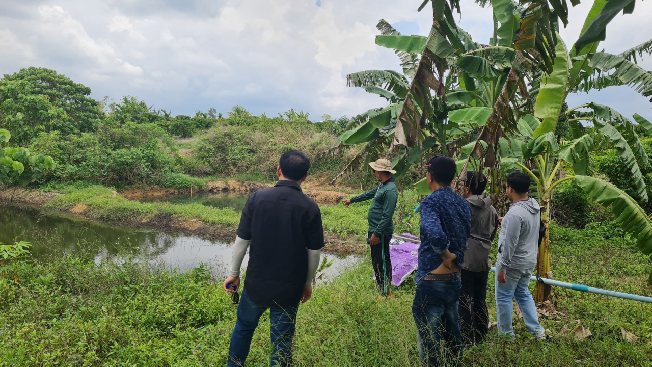 ภาพประกอบที่ 0