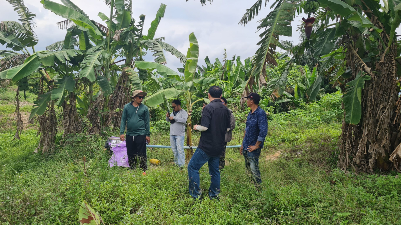 ภาพประกอบที่ 2