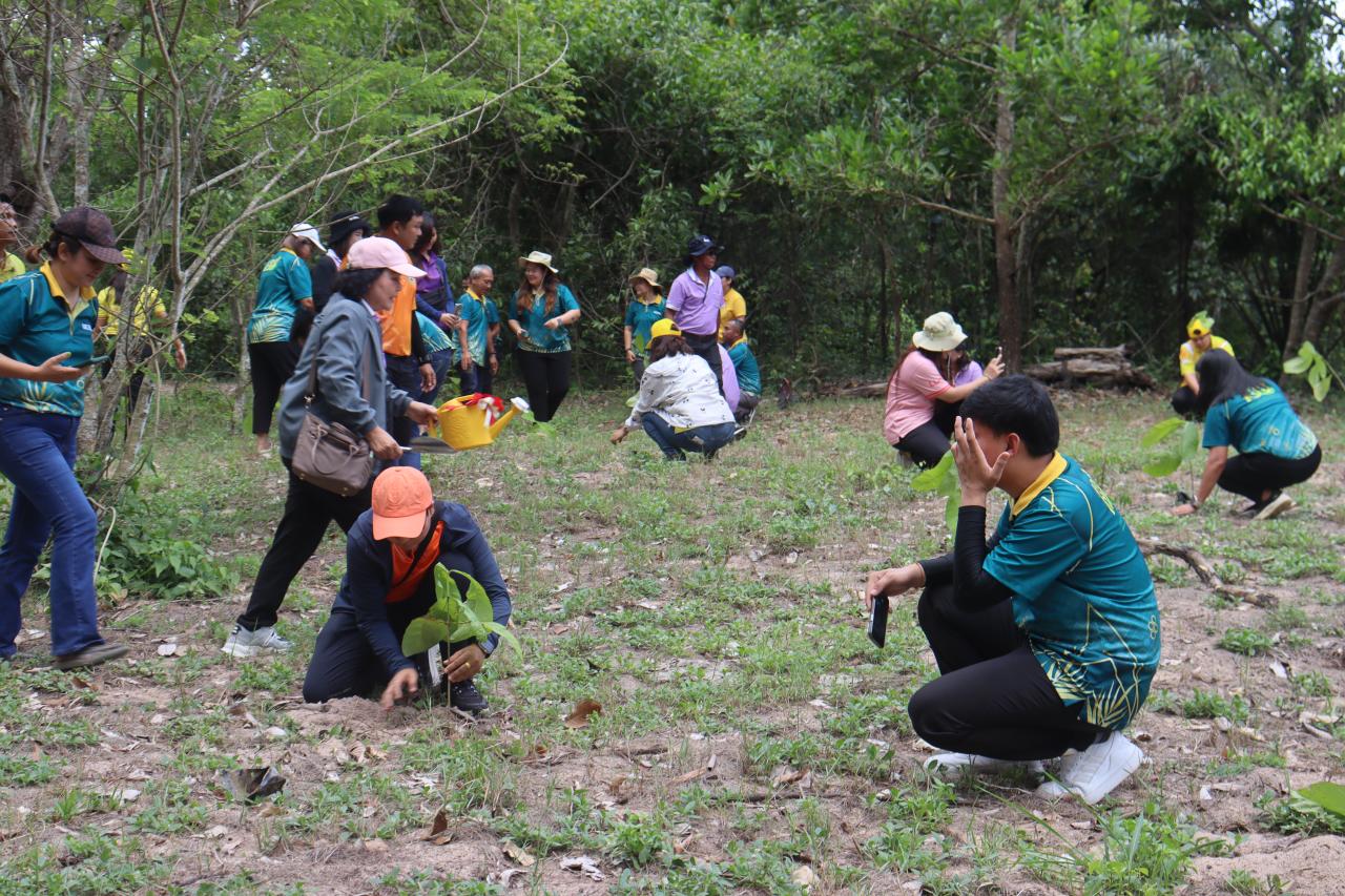 ภาพประกอบที่ 5