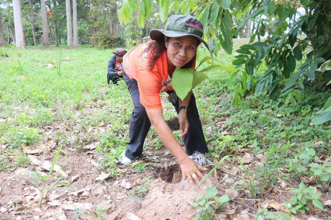 ภาพประกอบที่ 4