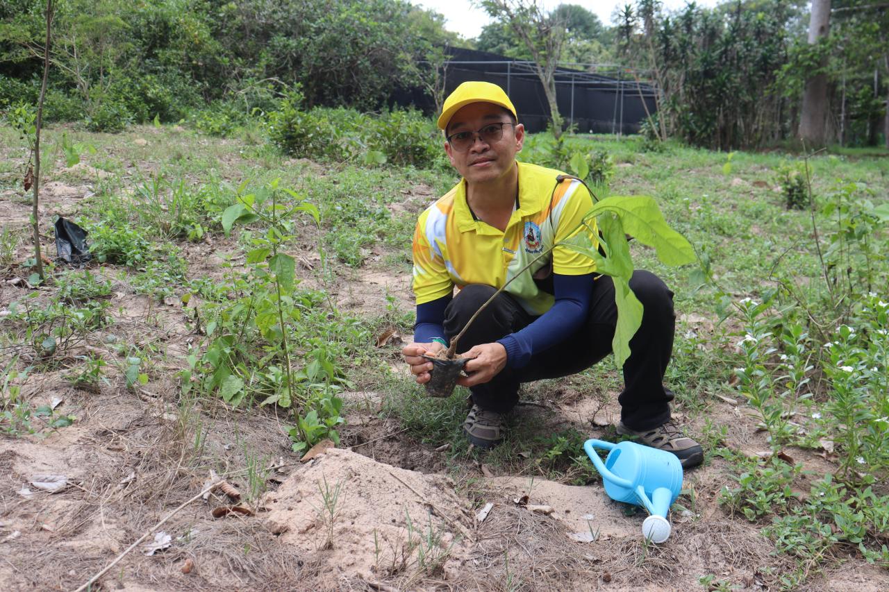 ภาพประกอบที่ 1
