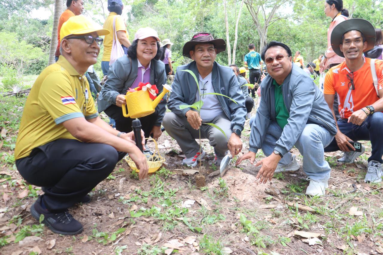 ภาพประกอบที่ 0