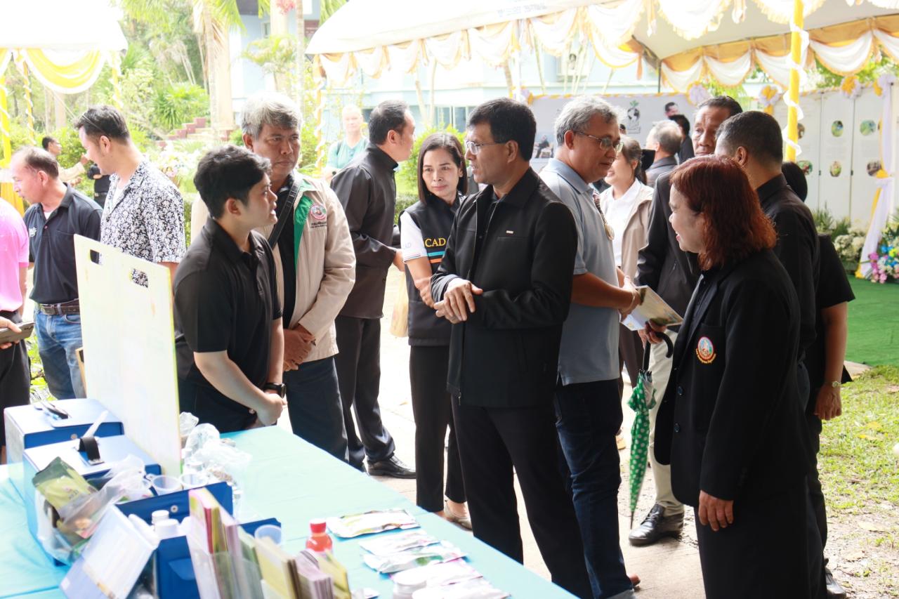 ภาพประกอบที่ 6