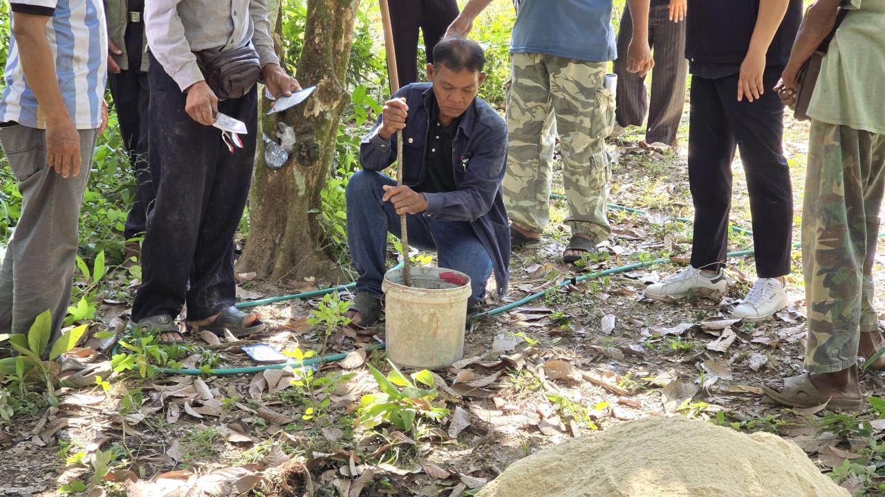 ภาพประกอบที่ 2