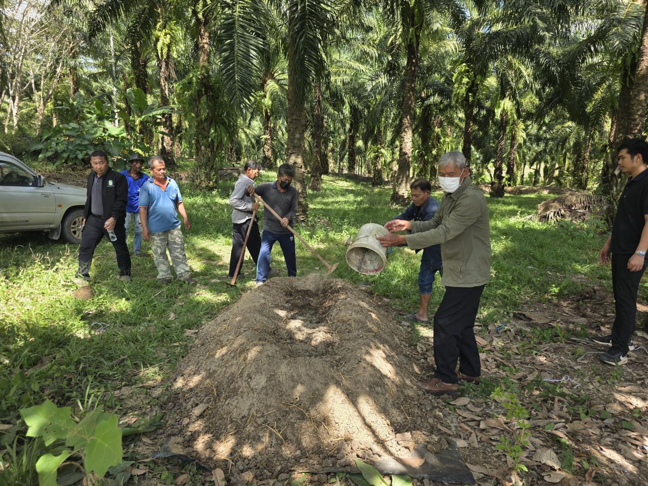 ภาพประกอบที่ 3