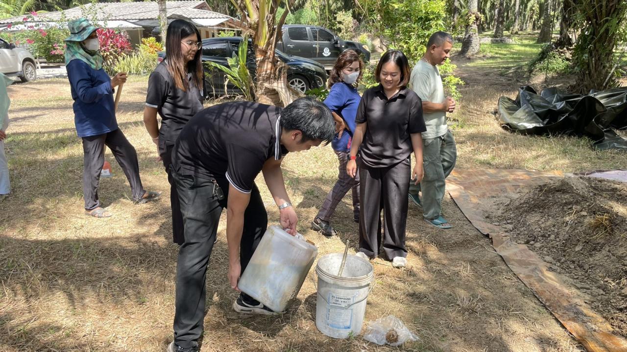 ภาพประกอบที่ 2