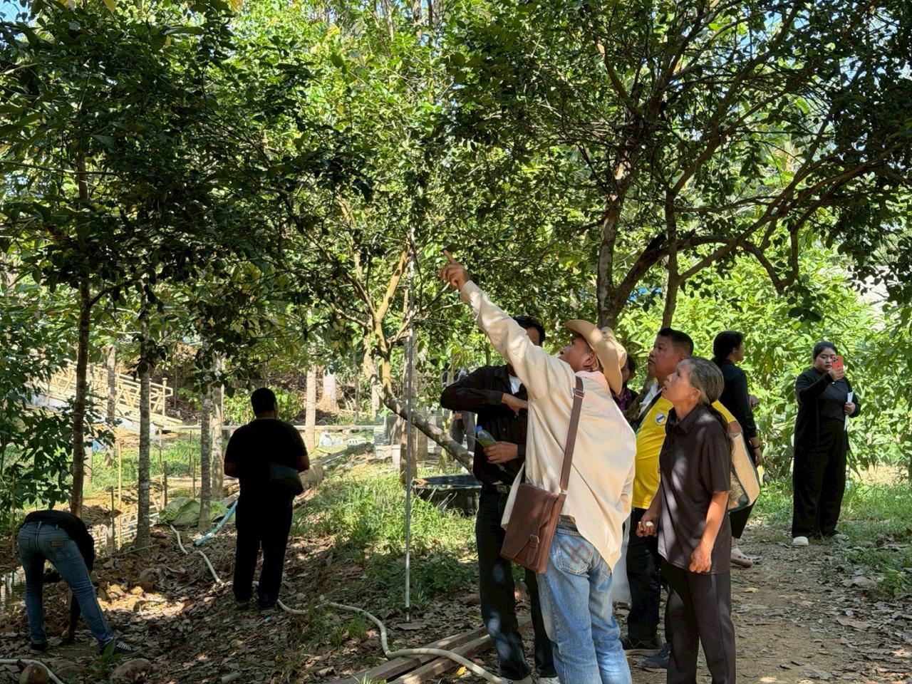 ภาพประกอบที่ 6