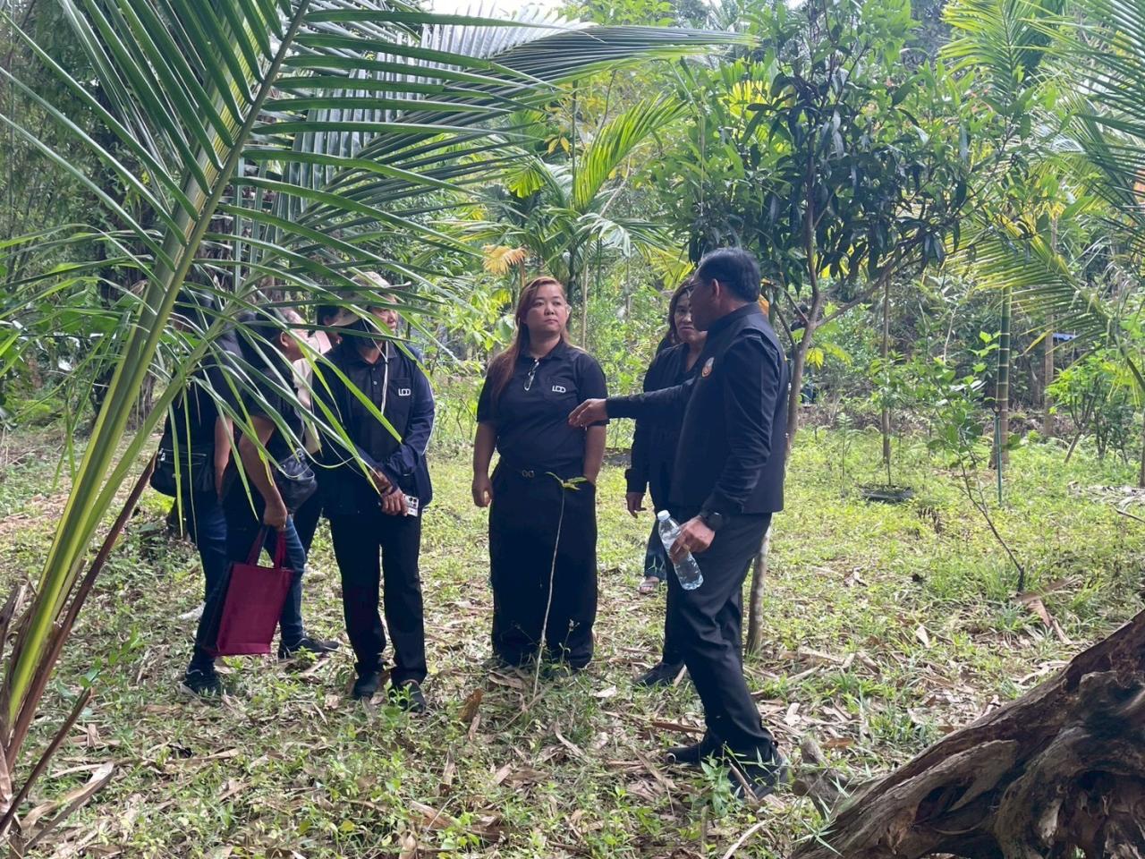 ภาพประกอบที่ 2