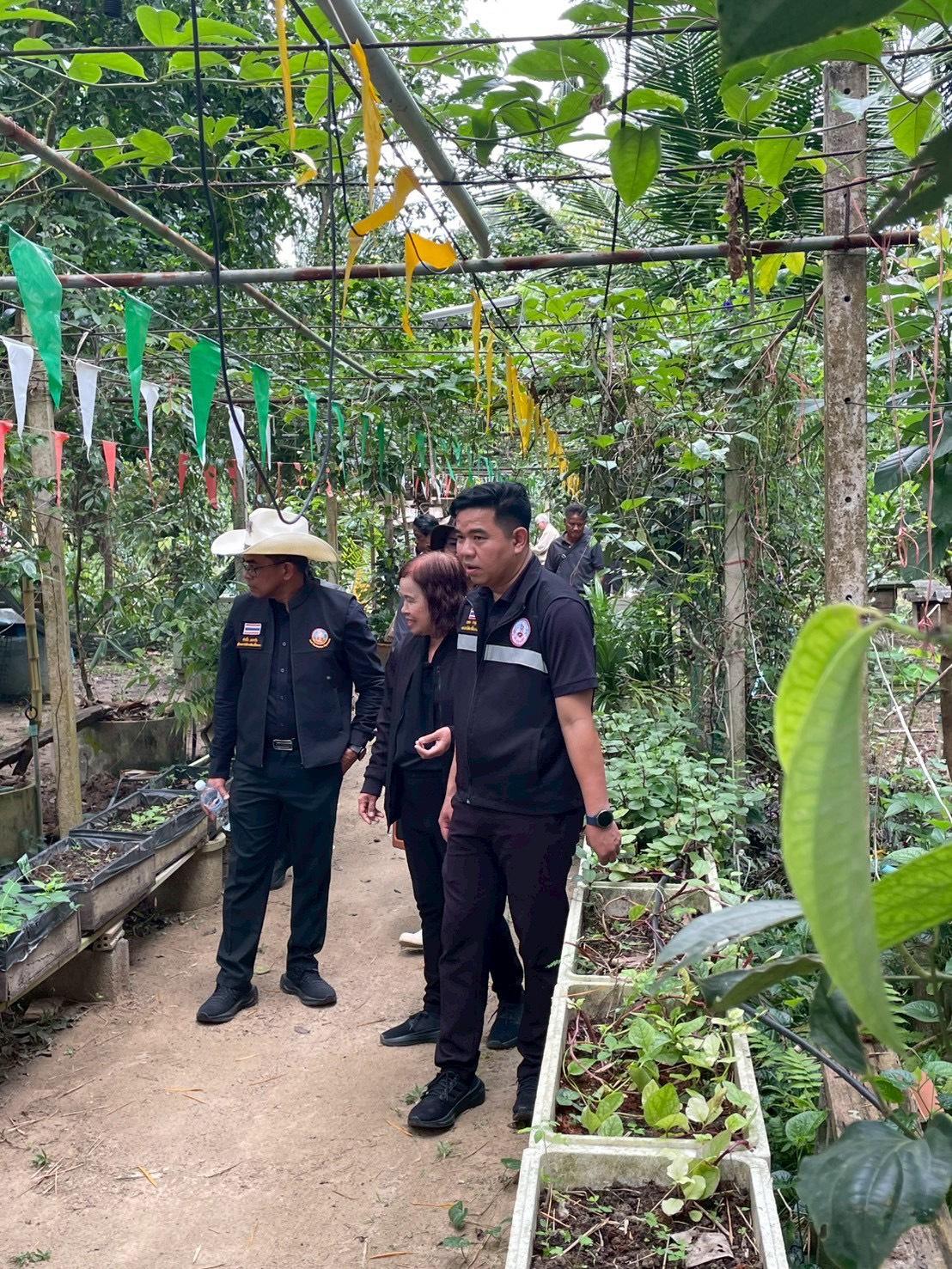 ภาพประกอบที่ 3