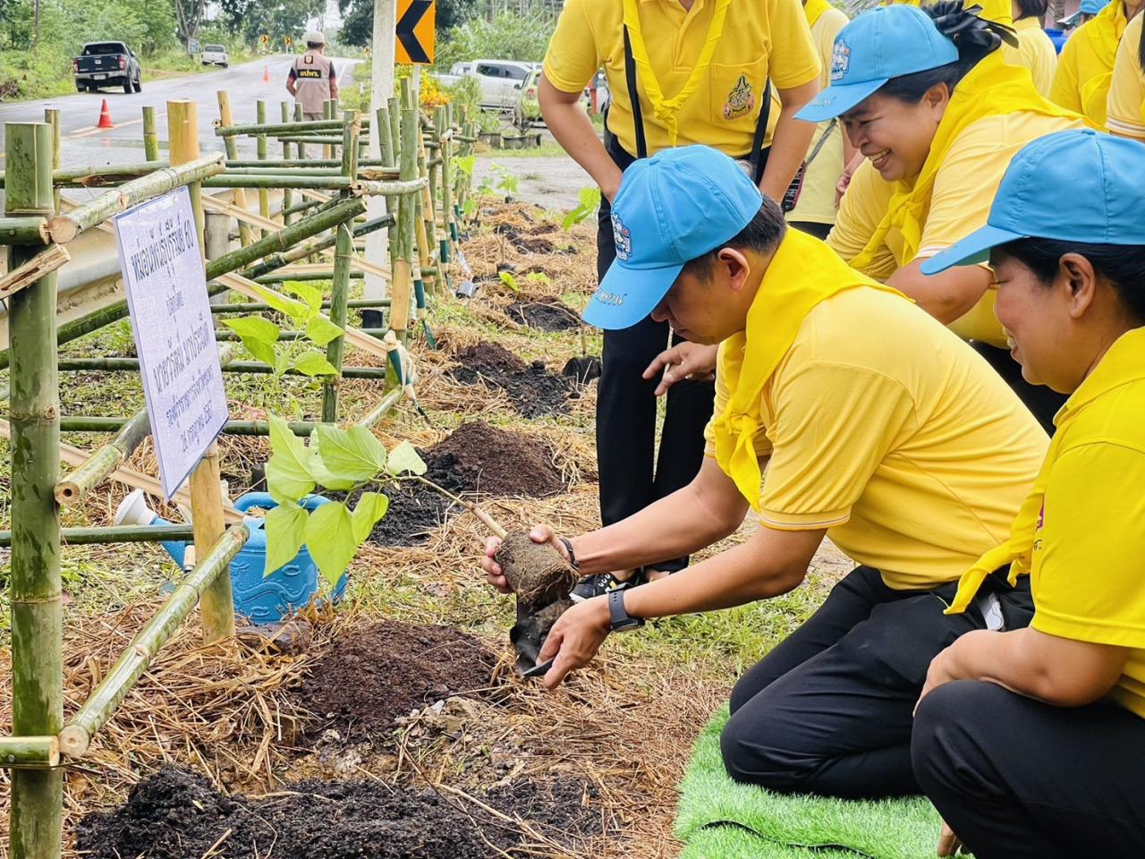 ภาพประกอบที่ 1