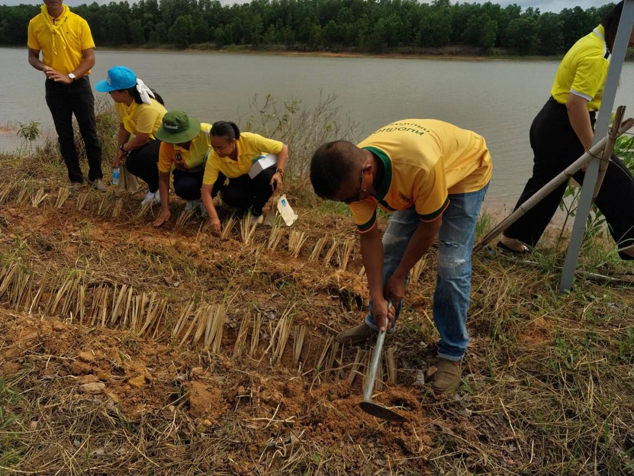 ภาพประกอบที่ 4