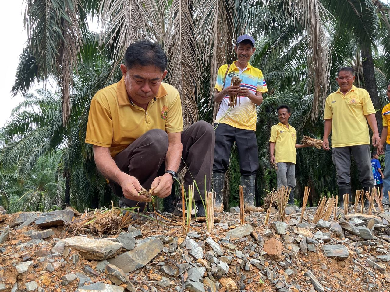 ภาพประกอบที่ 2