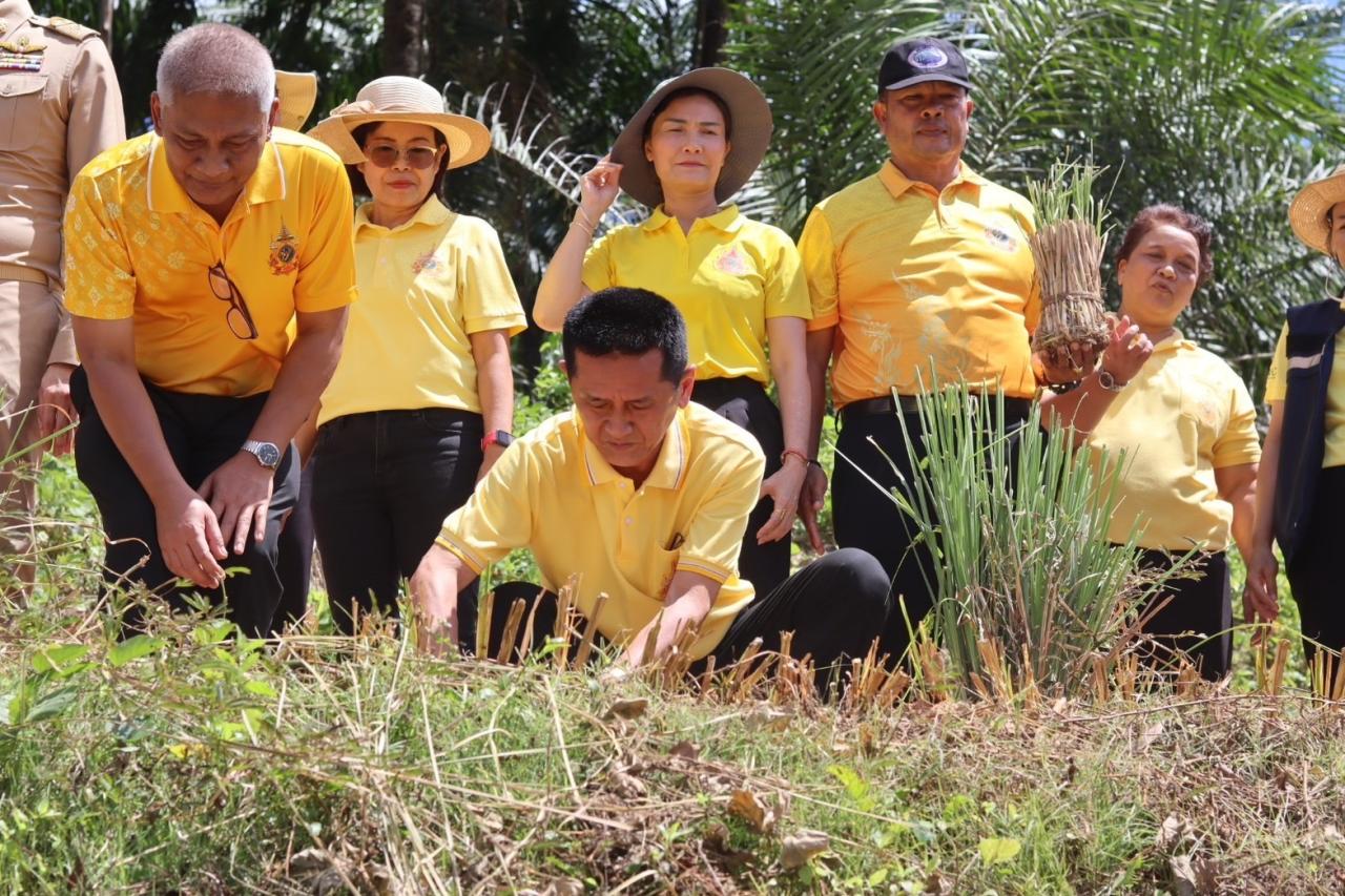 ภาพประกอบที่ 8