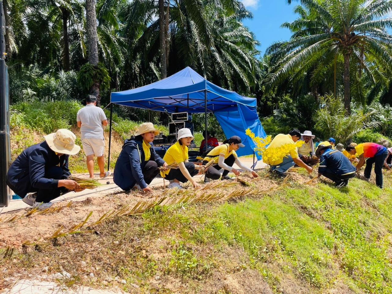 ภาพประกอบที่ 12