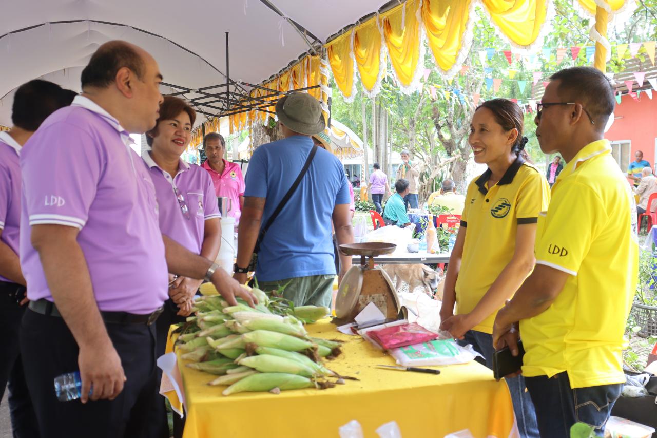 ภาพประกอบที่ 25