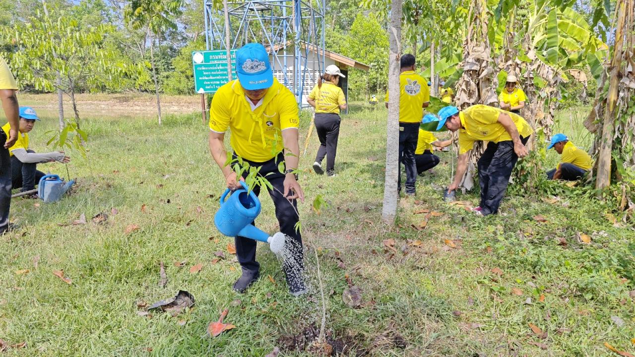 ภาพประกอบที่ 3