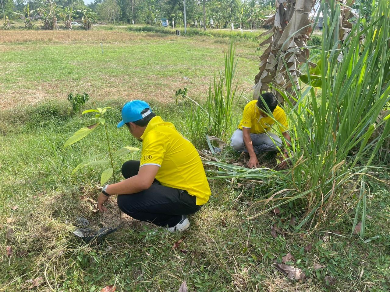 ภาพประกอบที่ 7