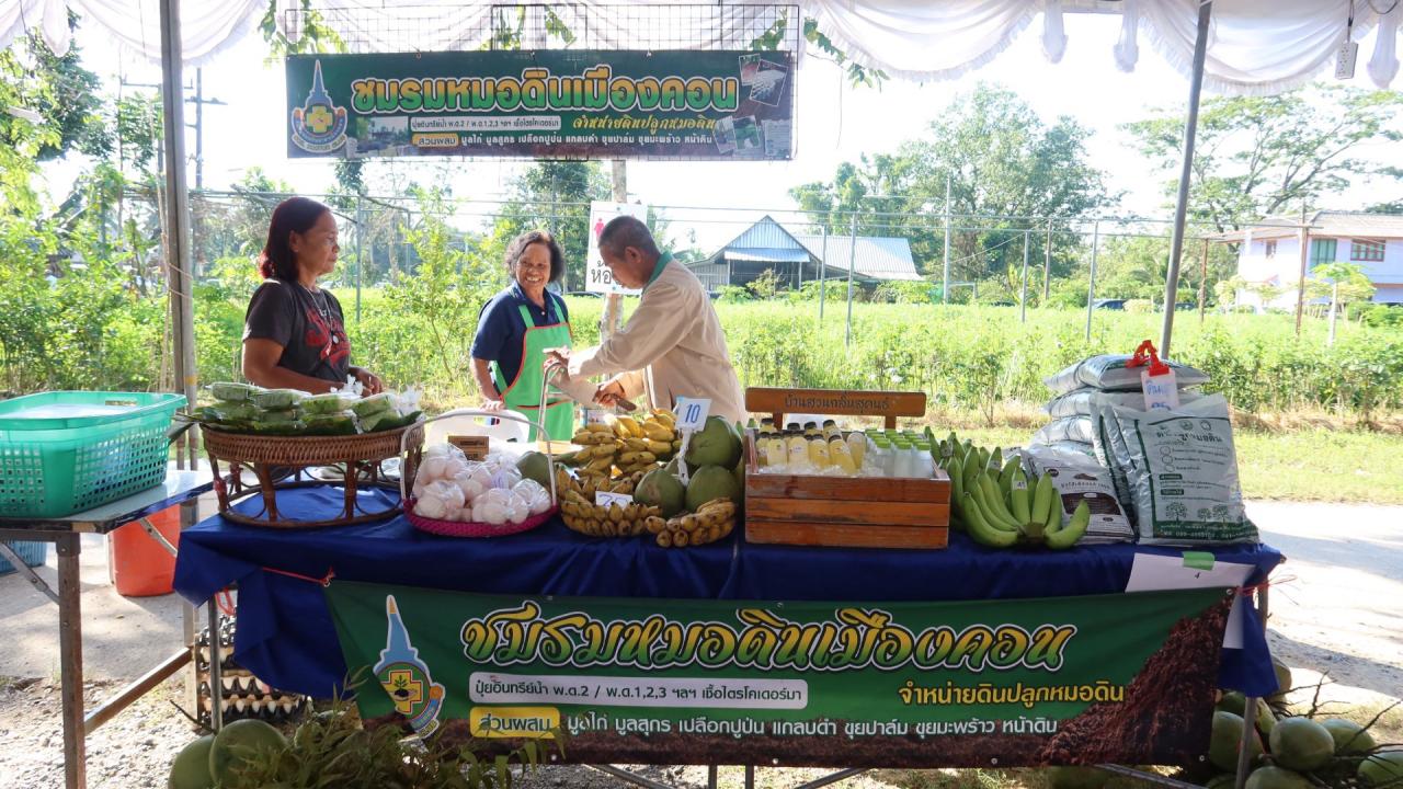 ภาพประกอบที่ 25