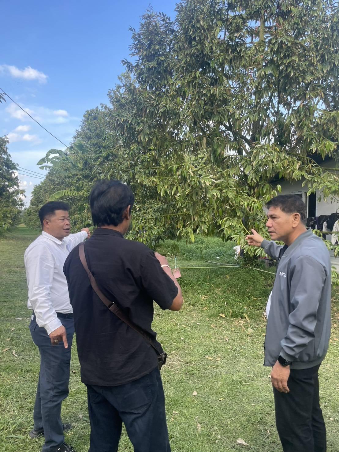 ภาพประกอบที่ 3