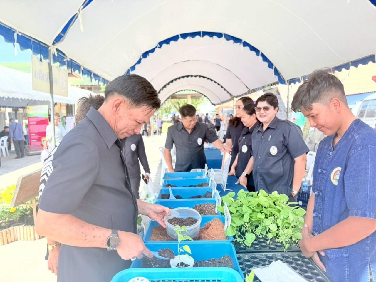 ภาพประกอบที่ 7