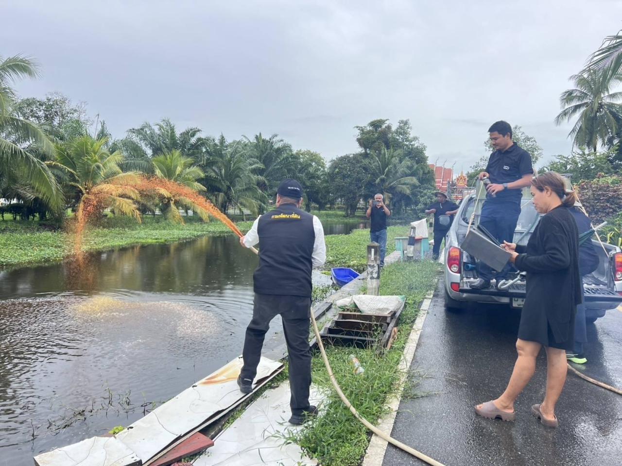 ภาพประกอบที่ 0