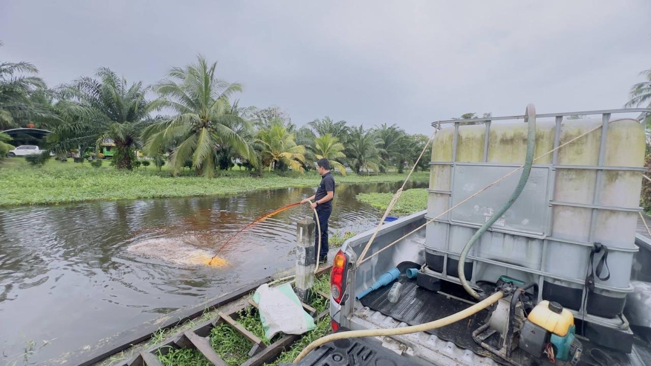 ภาพประกอบที่ 3