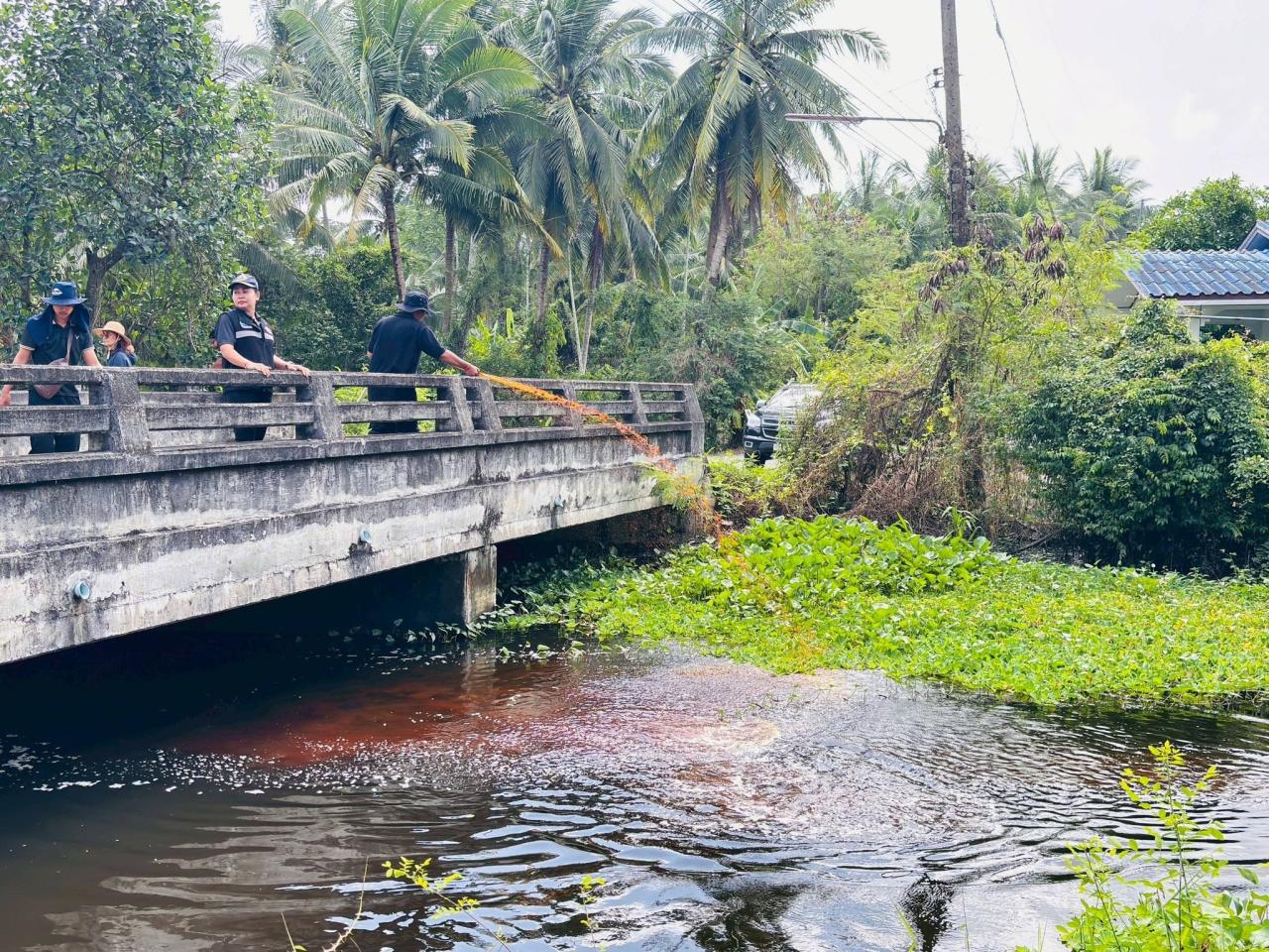 ภาพประกอบที่ 3