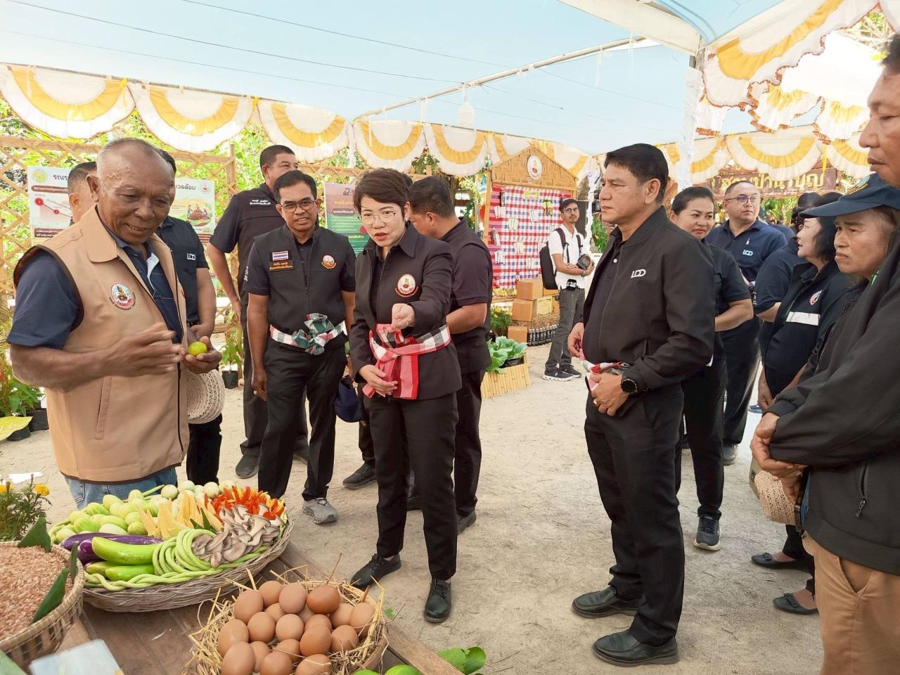 ภาพประกอบที่ 11