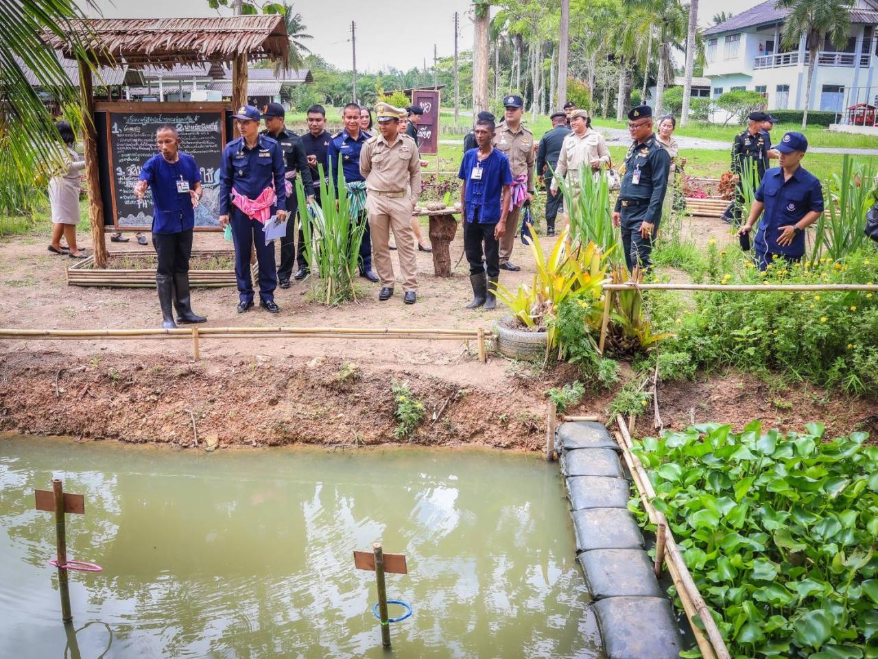ภาพประกอบที่ 6