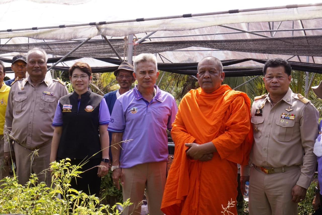 ภาพประกอบที่ 2