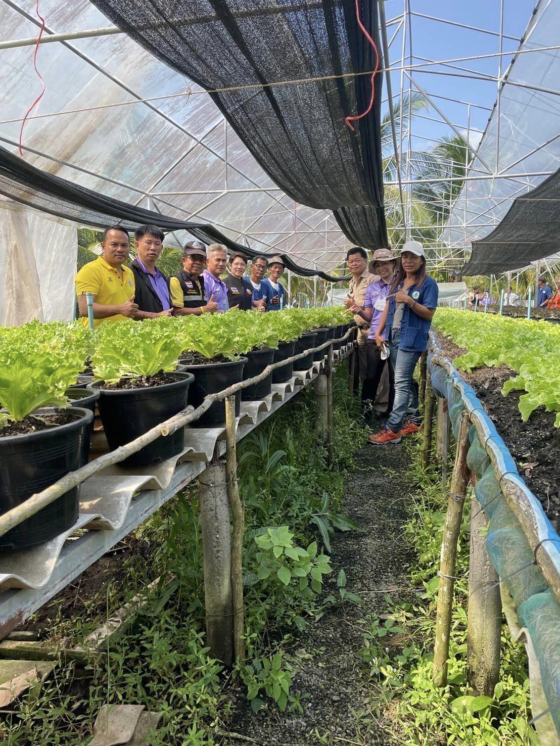 ภาพประกอบที่ 7