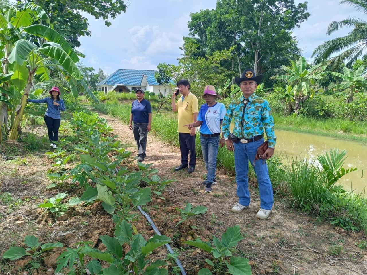 ภาพประกอบที่ 29