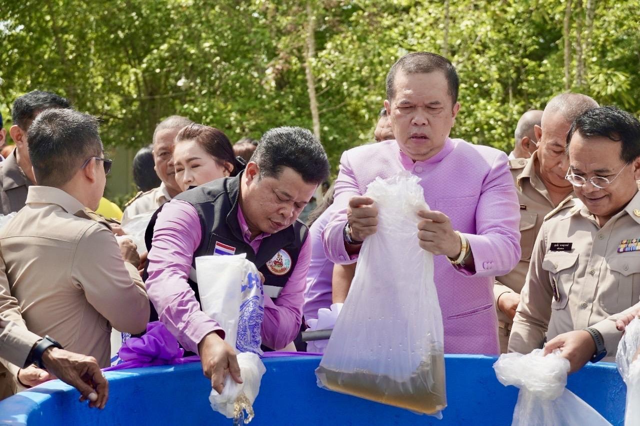 ภาพประกอบที่ 2