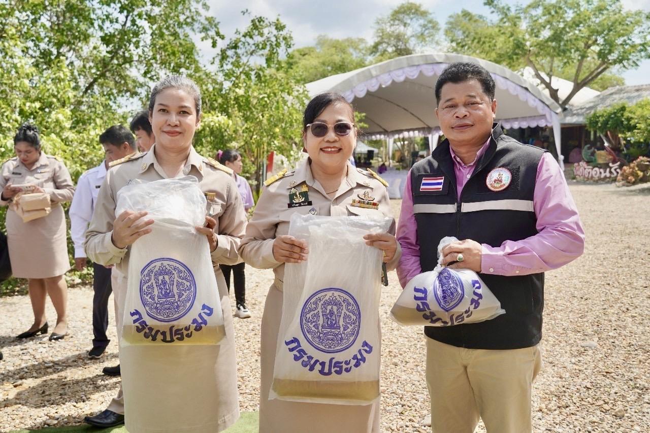 ภาพประกอบที่ 4