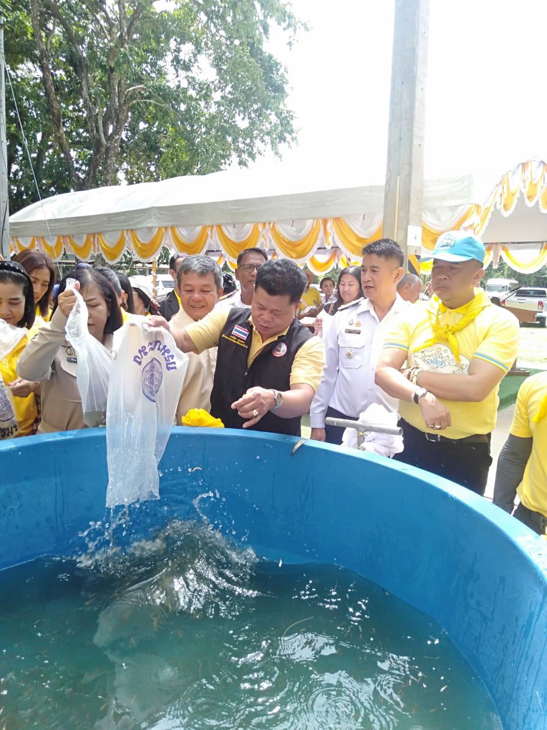 ภาพประกอบที่ 4