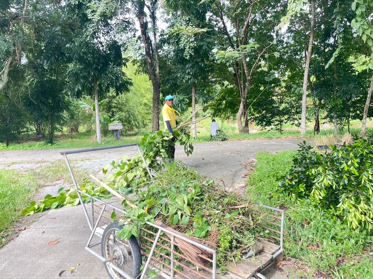 ภาพประกอบที่ 2