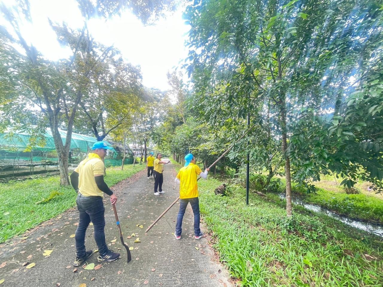 ภาพประกอบที่ 3