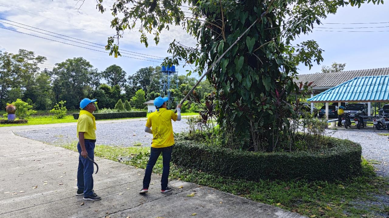 ภาพประกอบที่ 4