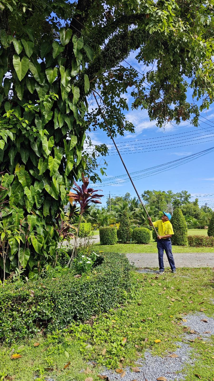 ภาพประกอบที่ 5
