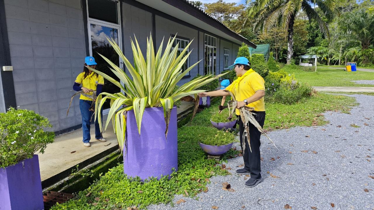 ภาพประกอบที่ 6