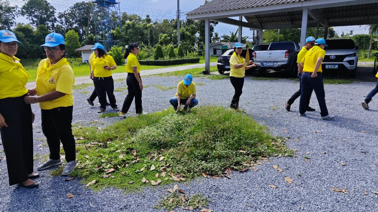 ภาพประกอบที่ 8