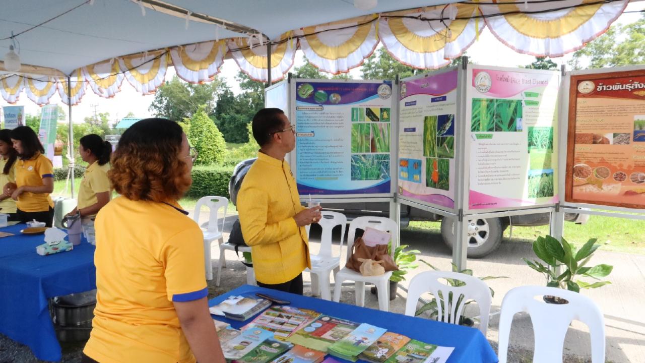 ภาพประกอบที่ 9