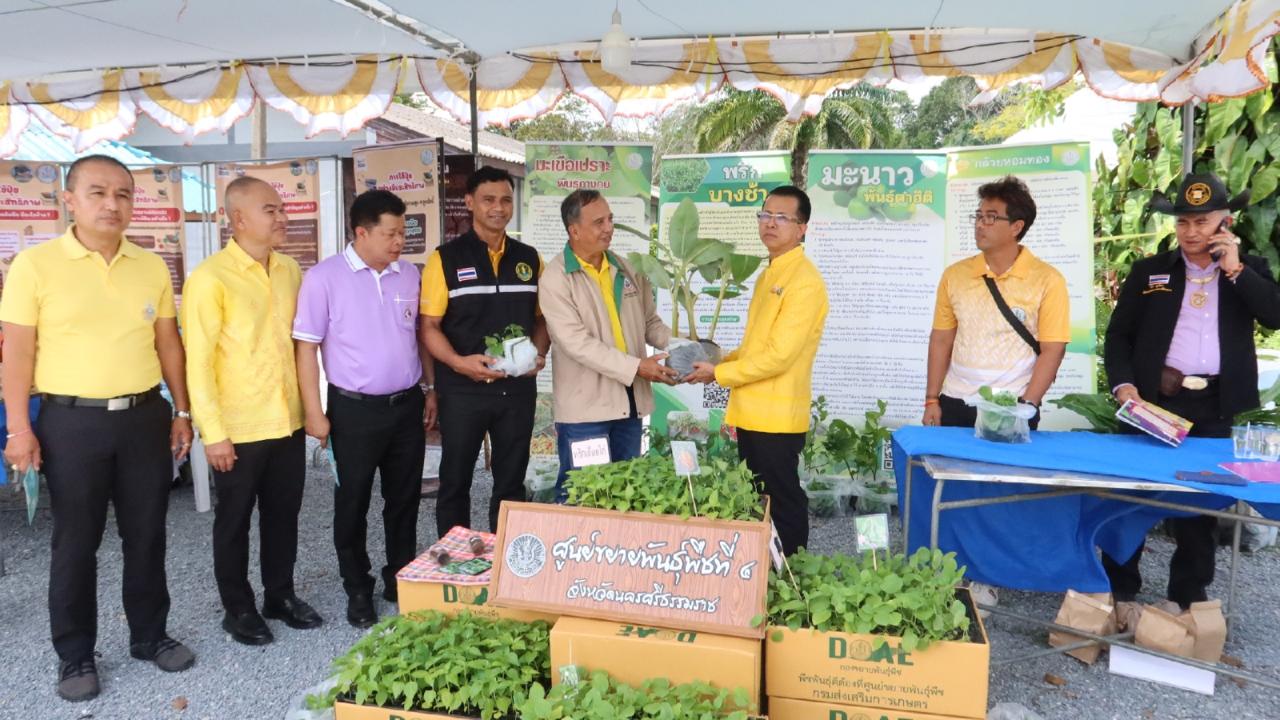 ภาพประกอบที่ 11