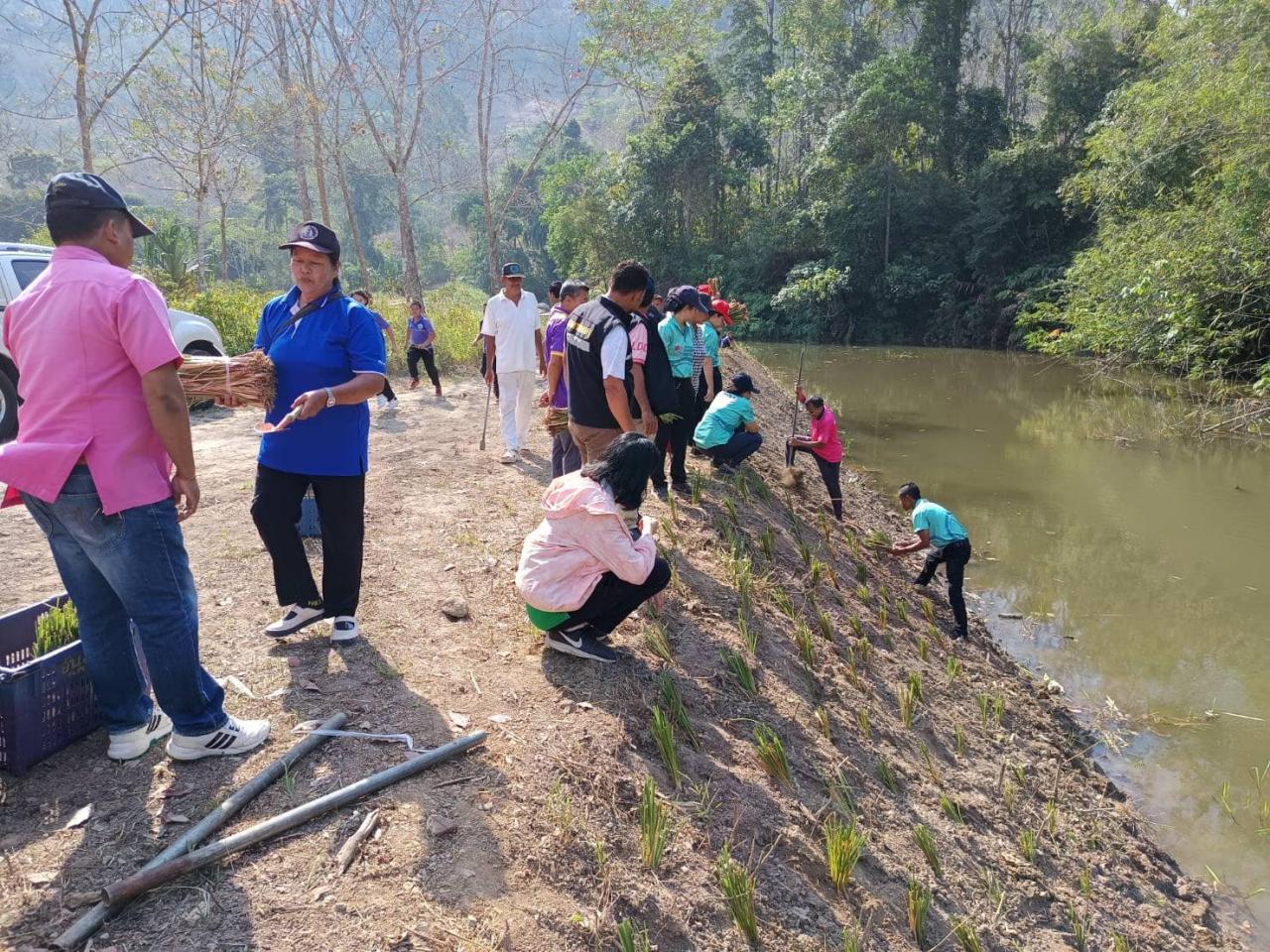 ภาพประกอบที่ 0