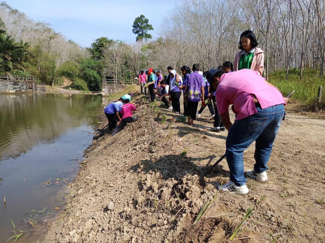 ภาพประกอบที่ 1