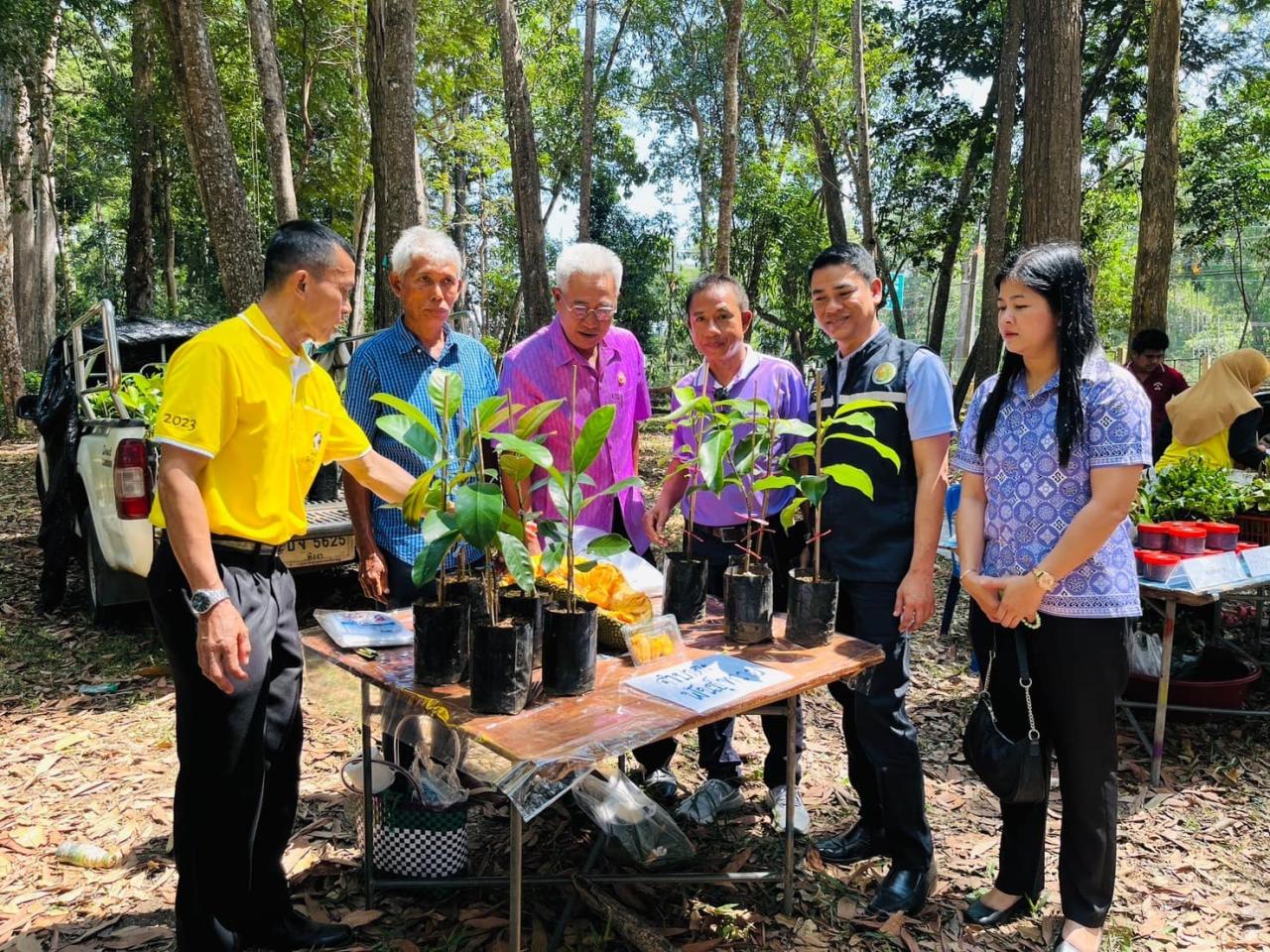ภาพประกอบที่ 5